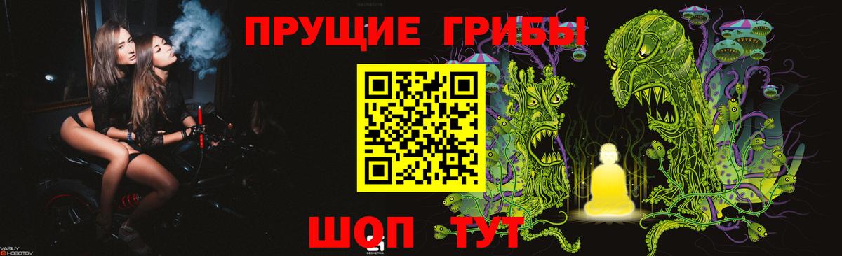 Псилоцибиновые грибы GOLDEN TEACHER Тольятти